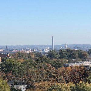 Meet your Posher, Rose